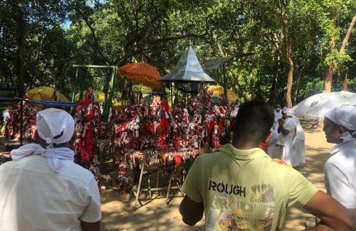 Kataragama Otro | Yala - Kabiliththa Jeep Tour Camping