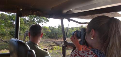 Yodakandiya Alquiler De Eote | Yala safari jeep tours