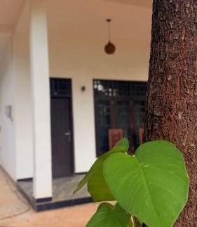 Yodakandiya Cabina | Yala Taman