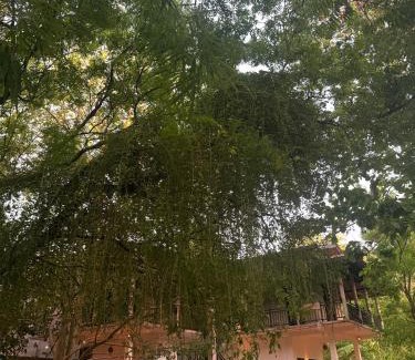 Yodakandiya Cabina | Yala Taman