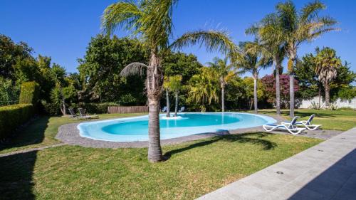 Constantia Casa | Yalwa house