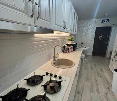 Predeal Apartamento | Yan Home Studio