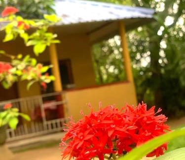Maho Casa | Yapahuwa Relax Stay