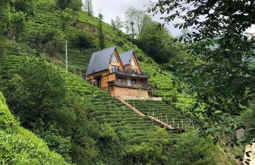 Rize Chalet De Esquí | Yeşil ravza bungolov