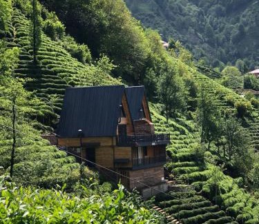 Rize Chalet De Esquí | Yeşil ravza bungolov