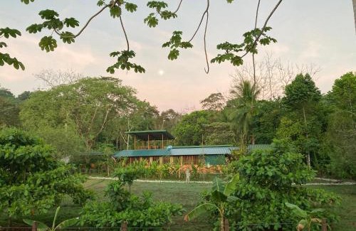 Puerto Jimenez Casa | YEJOS Jungle Lodge