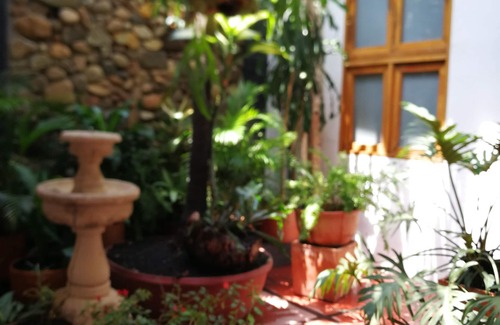 Cali Apartamento | CORAZON AMARILLO CALI