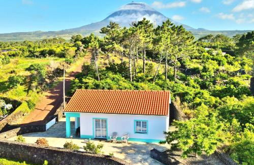 Sao Roque do Pico Complejo | Yes Pico