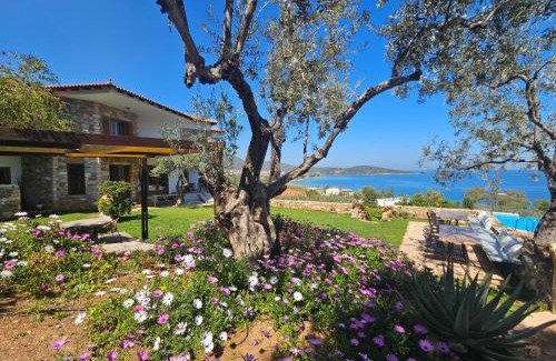 Melissopetra Apartamento | Yialasi Hotel