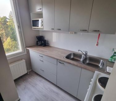 Lappeenranta Apartamento | Ylimmän kerroksen yksiö lähellä matkakeskusta