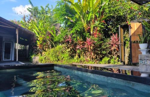 Ubud City-Centre Cabina | Yoga House Bali