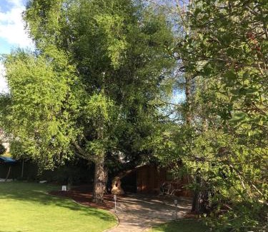 Neumarkt in Steiermark Apartamento | YOGA WOHLFÜHLOASE im Grünen