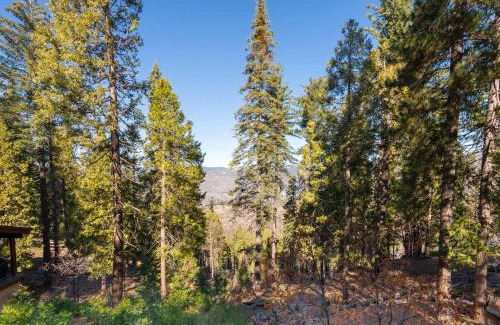 Yosemite West Casa | Yosemite Aviary - Bird's Eye View Awesome Upper Unit