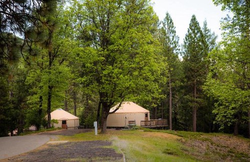 Harden Flat Complejo | Yosemite Lakes Hillside Yurt 5
