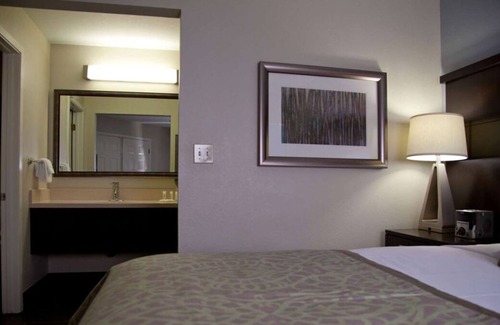 Sunnyvale Complejo | You Found it! FOUR Comfortable 1BR Suites, Outdoor Swimming Pool, Pets Allowed!