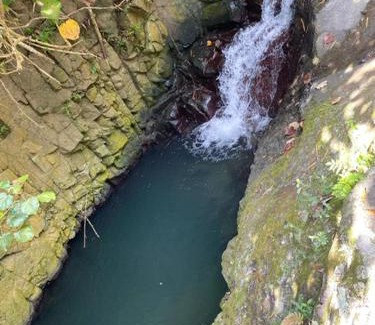 Jayuya Otro | You Home Camping