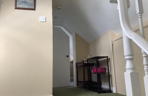 Wexford Municipal District Casa | Youngstown