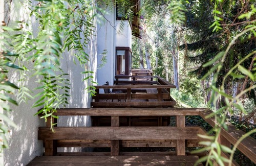 Live Oak Hotel | Your Ultimate Nature Retreat Starts Here | Forest View Room w/ Patio | Scenic