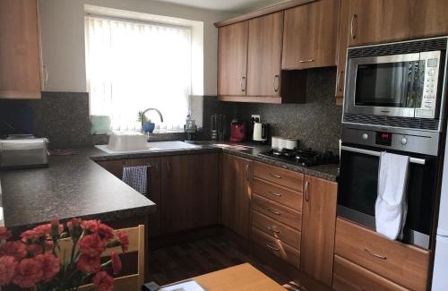 Carmarthen Casa | Yr Hafan