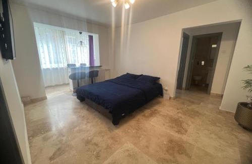 Ramnicu Valcea Apartamento | Ywa