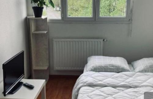 Poteries Apartamento | Zénith Strasbourg 2 chambre