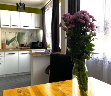 Piechowice Apartamento | Z MIŁOŚCI DO GÓR Noclegi