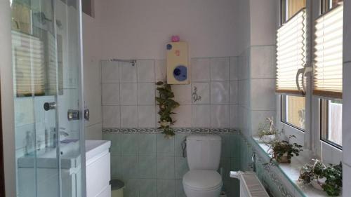 Strzelinko Casa | Zaciszny domek
