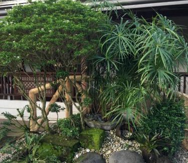 San Pablo Complejo | Zacona Eco-Resort & Biblical Garden