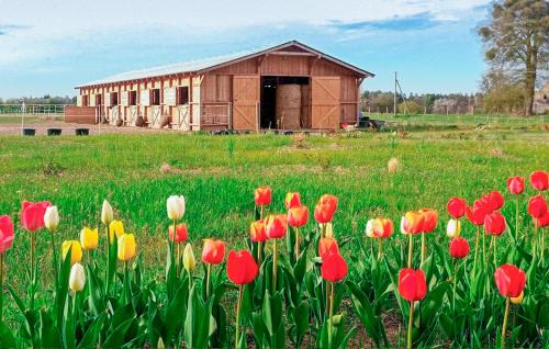 Lniano Apartamento | Zagroda Hipogryf