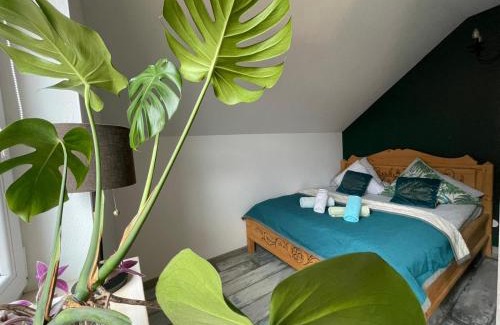 Milowka Casa | Zakątek Słoneczny pod Baranią Górą