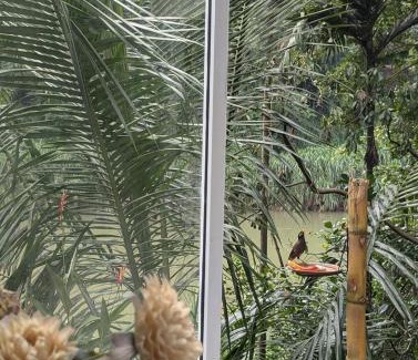 Kandy Apartamento | Zama Gallery House