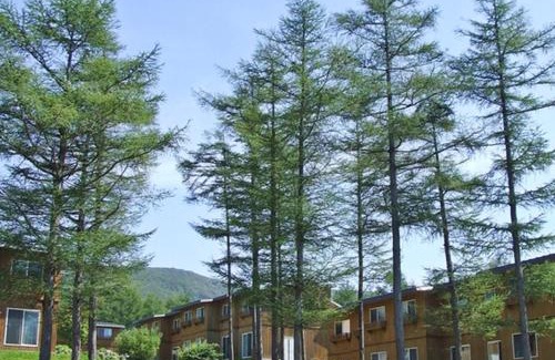Kaminoyama Cabina | Zao Liza Woody Lodge