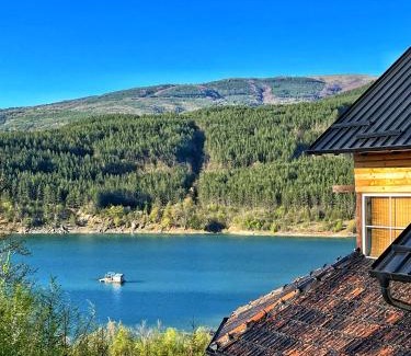 Stara Planina Apartamento | Zavojsko jezero - Vila Jezero