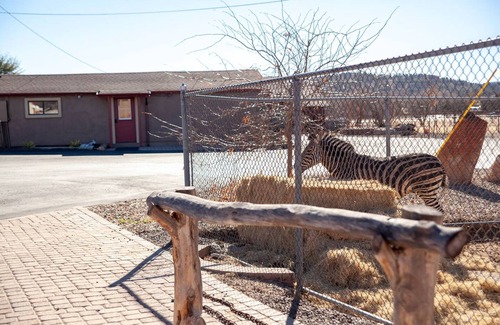 Williamson Casa | Zebra Rustic Retreat 3BR Home on Zebra Ranch