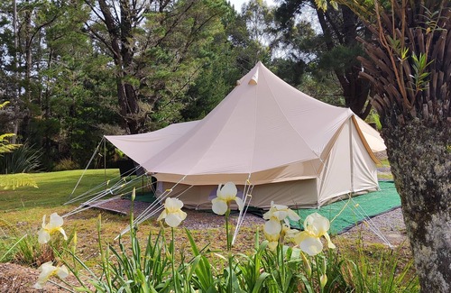 Zeehan Alquiler De RV | Zeehan Bush Camp