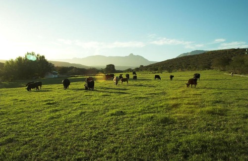 Riversdale Casa | Zeekoegat Historical Homestead