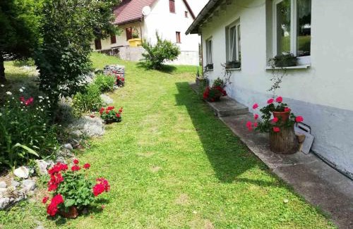 Brestova Draga Casa | Zeleni brig