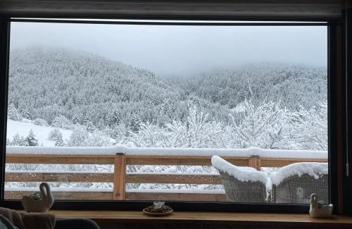 Mokra Gora Casa | Zemunica Resimić