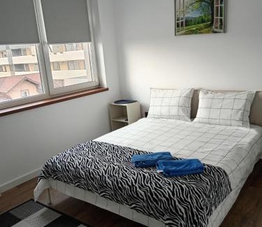 Sinnicoara Apartamento | Zen aeroport