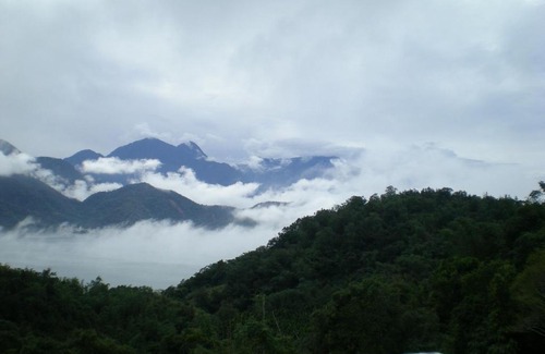 Shuili Casa | Zen and Pine Resort