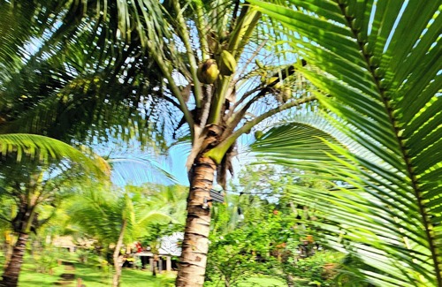 Little Corn Island Cabina | Zen Cabaña in a Tropical Paradise, Little Corn island, Nicaragua