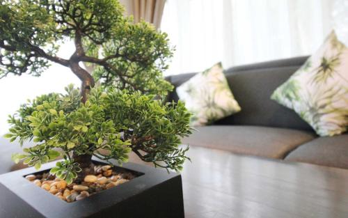 Kamala Apartamento | Zen Hillside Self Service Apartment