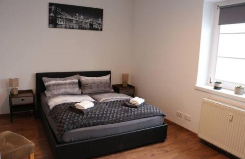 Strehlen Apartamento | Zentralgelegene 4-Raum Ferienwohnung bis 8 Pers.