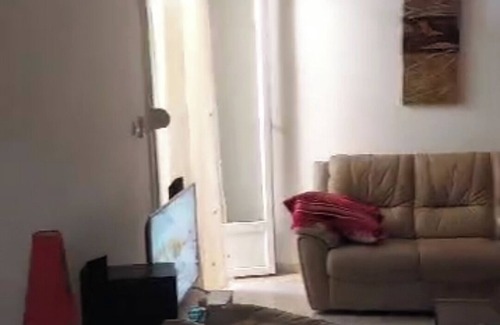 Algiers Apartamento | zeraldchic