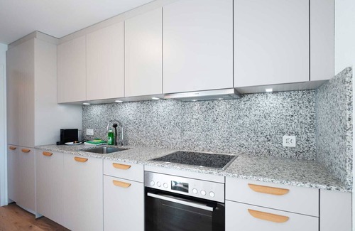 Center Apartamento | ZH Pink 1 - Letzigrund HITrental Apartment