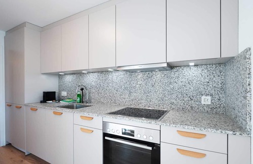 Center Apartamento | ZH Pink 2 - Letzigrund HITrental Apartment