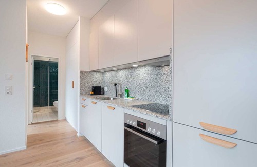 Center Apartamento | ZH Yellow 4- Letzigrund HITrental Apartment