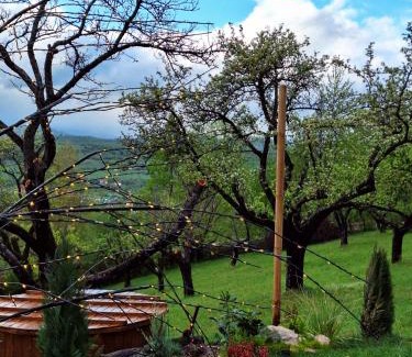 Bran Cabina | Zibran Cabane