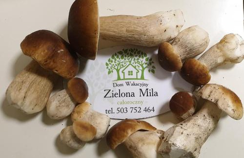 Cekcyn Casa | Zielona Mila Dom Wakacyjny