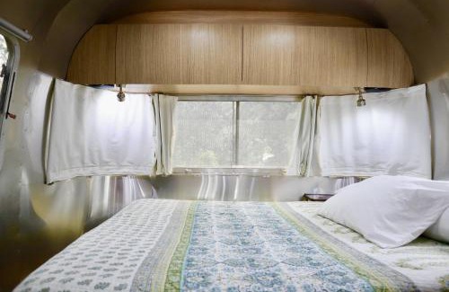 Myrtle Grove Casa | Ziggys Place